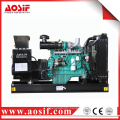 Diesel generator types of electrical generator